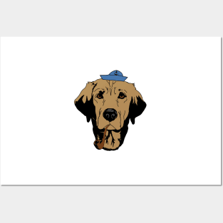 Golden retriever sailor Posters and Art